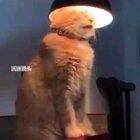 Bitch don't kill his vibe