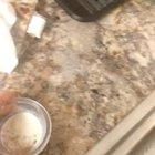 Tiny pug happy food dance