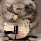 The BEST kind of ASMR!