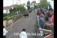 Yay! You won the bull’s attention!