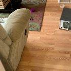 When she cannot he found, there’s a 99% chance I find her like this