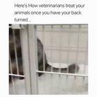 What vets do behind closed doors