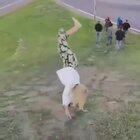 mission accomplished !