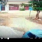 HMFT after I get trampled by a wild animal.