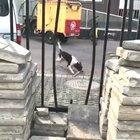 Think before you leap