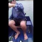 A sloth took the boat ride of its life.