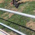 This fight at my school that ended with both dudes getting tackled hard