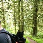 We pack our cat with us everywhere we go. 🎒