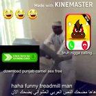 very halal arabfunnu video 😂😂😂