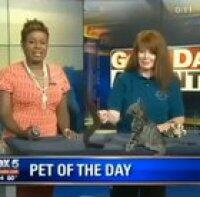 Kitter.exe has stopped working