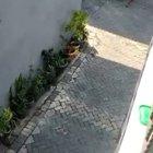 ok but a monkey on a motorcycle tho?