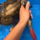 It'll be fun they said