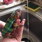 Wash hand style in covid-19 time!