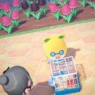 After further inspection Graham looks very concerned 😟