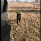 Mom's home, clear the runway!