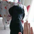 Good girl doin a High Five