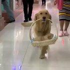 Look at my baby ...so cute