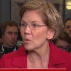 Elizabeth Warren, 2020: 