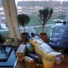 Vala ima poštenih ljudi