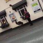 I love this video so much