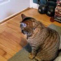 It’s half full, fool