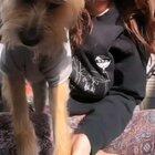 Her fat pussy is busting out the seams!!