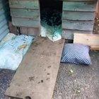 At least I’m not alone during quarantine!