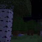 vid of my wife on the greenscreen.