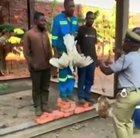 Крутые награды в бедной стране