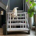 The doggy door works