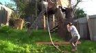 Kid Catapulting Himself in his Backyard