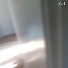 Darsey smoked some drywall and refrigerator mold.