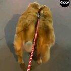 Синхронненько:)