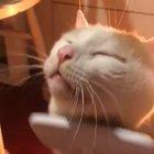 Not there. I told you not there!