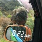 Friendly kea giving us a helping beak while we wait for our Milford Sound tour. Bottle cap was retrieved.