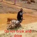 HMB while I wheel under the influence