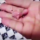 They grow up so fast!