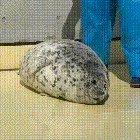 Accurate representation of productivity lately