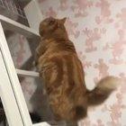 He is a very fast learner.