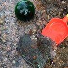 They found what they were looking for