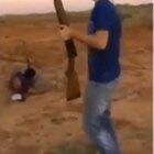 Basically this subreddit ( old but gold )