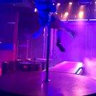 Pitou pole dancing