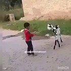 What I hate more than animal abusers are people that film them. In this case, it isnt the kids fault, but the person thats filming is.