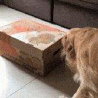 Not so subtle message.