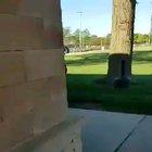 Remember this jerk kid