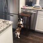 Maybe maybe maybe maybe