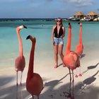 Bros turn to jerks too