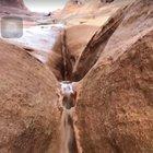 don’t you just love nature