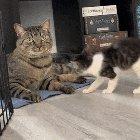 Kids can be so annoying sometimes