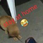 Even the cat knows what's up